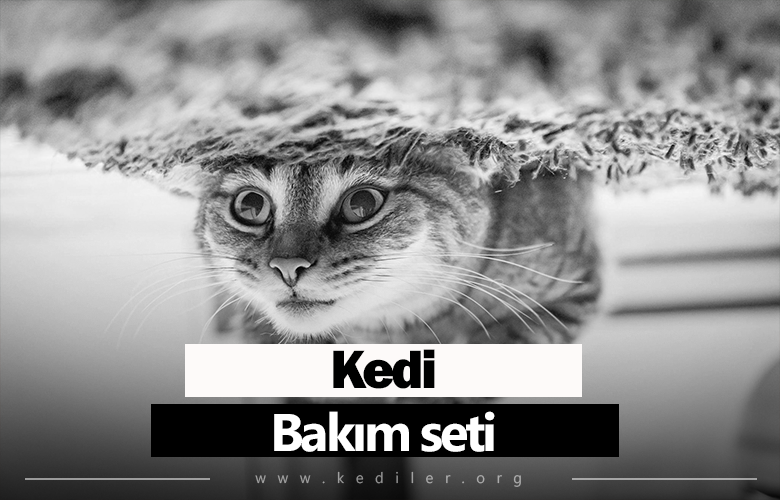 Kedi bakım seti 2025 Tam detaylarıyla!